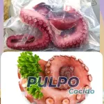 Pulpo 🐙