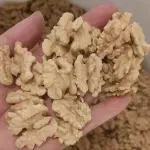 Nuez mariposa pelada 2026