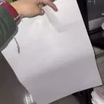 PAPEL PERRERO