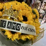 25 GIRASOLES