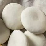 Arabito blanco