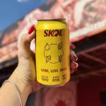 Cerveja Skol Lata 350ml