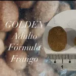 GOLDEN CARNE E FRANGO ADULTO 1KG