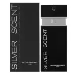 Silver Scent Eau De Toilette 100ml