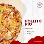 Pollito Pio