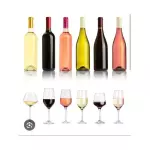 vinhos