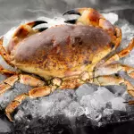 Buey de Mar