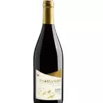 PASO DE LOS ANDES PINOT NOIR 🇨🇱