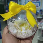 ESFERA DE JABÓN