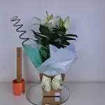 A429 Lirio Branco " Gratidão"