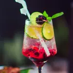 Gin Tonic-Frutos Rojos