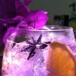 Gin & Tonic Pinku (Pitahaya)