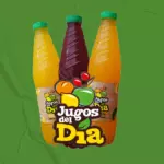 JUGO DEL DIA