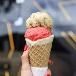 Pistache ZERO AÇÚCAR E LACTOSE