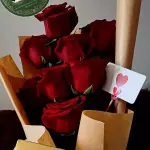 Producto 2