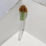 Piteira Cogumelo