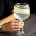 GIN TONICS