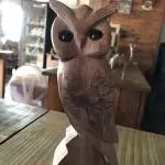 Coruja