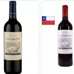 VINHO EXPLORADOR ventisqueiro