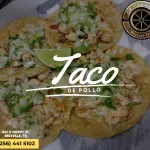 Pollo
