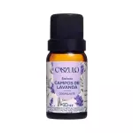 Essência Campos de Lavanda Caszulo