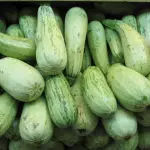 ZUCHINI X KILO
