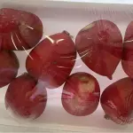 Rabanete