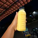 SUCO NA GARRAFA POLPA DA FRUTA 300ML