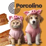 Porcolino