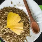 Ginko Biloba