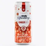 Soda Gengibre