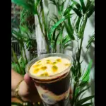 Açaí Azedinho