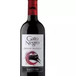 Gato negro