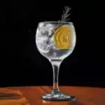 GIN TONICA
