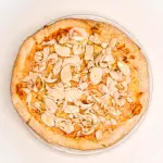 Palmito