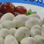 ARÁNDANO SABOR YOGURT
