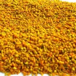 Polen de abeja x125gr
