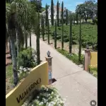 VINHO EM TAÇA - VALMARINO 200ml