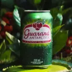 Guaraná Antarctica ZERO