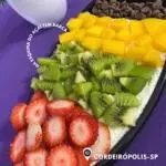 Barca de Açaí Pequena