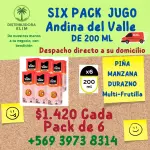SIX PACK JUGO ANDINA DEL VALLE 200 M