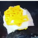 X-Salada