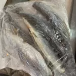 SARDINHA LIMPA