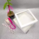 Caja Blanca Acetato Cuadrado (Detal)