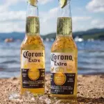 Corona long neck