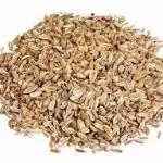 CHA FUNCHO 100gr