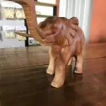Elefante