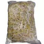 一包芽菜 frijoles nacientes