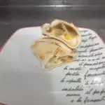 Empanadilla Queso Champ Choclo