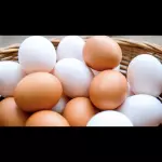 Huevos